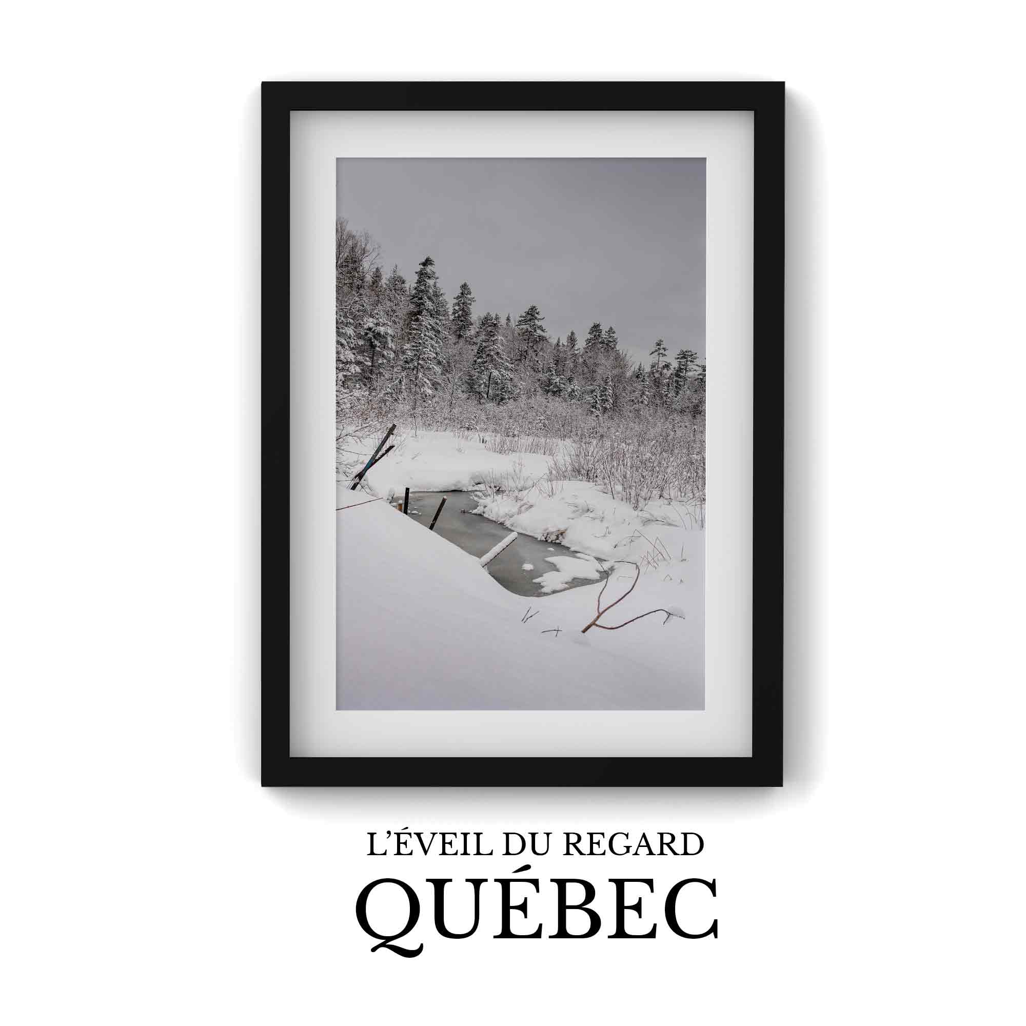 Québec : L'Éveil du Regard