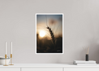30 x 45 cm, Tirage FineArt avec marge blanche L'Or du Soir