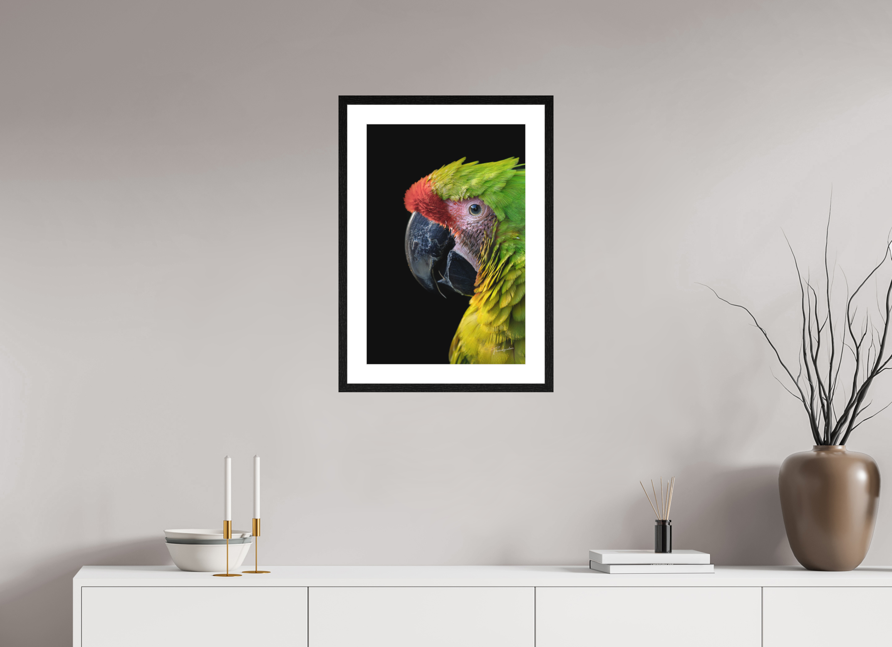 40 x 60 cm, Cadre chêne noir brightwhite L'Ara de Buffon