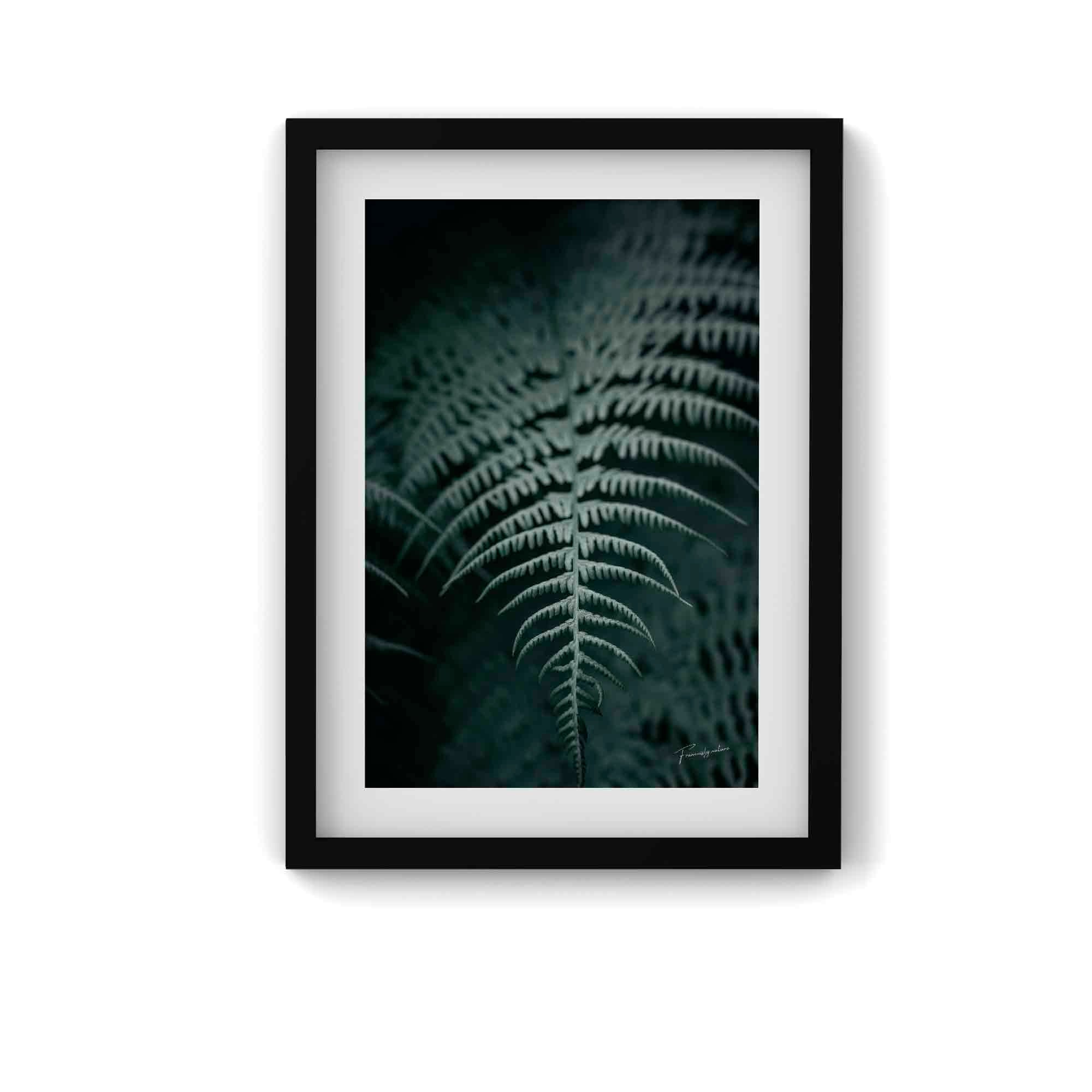 La Spirale Originelle