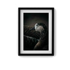 L’Héritage Singulier