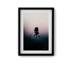 L'Armure de Lumière