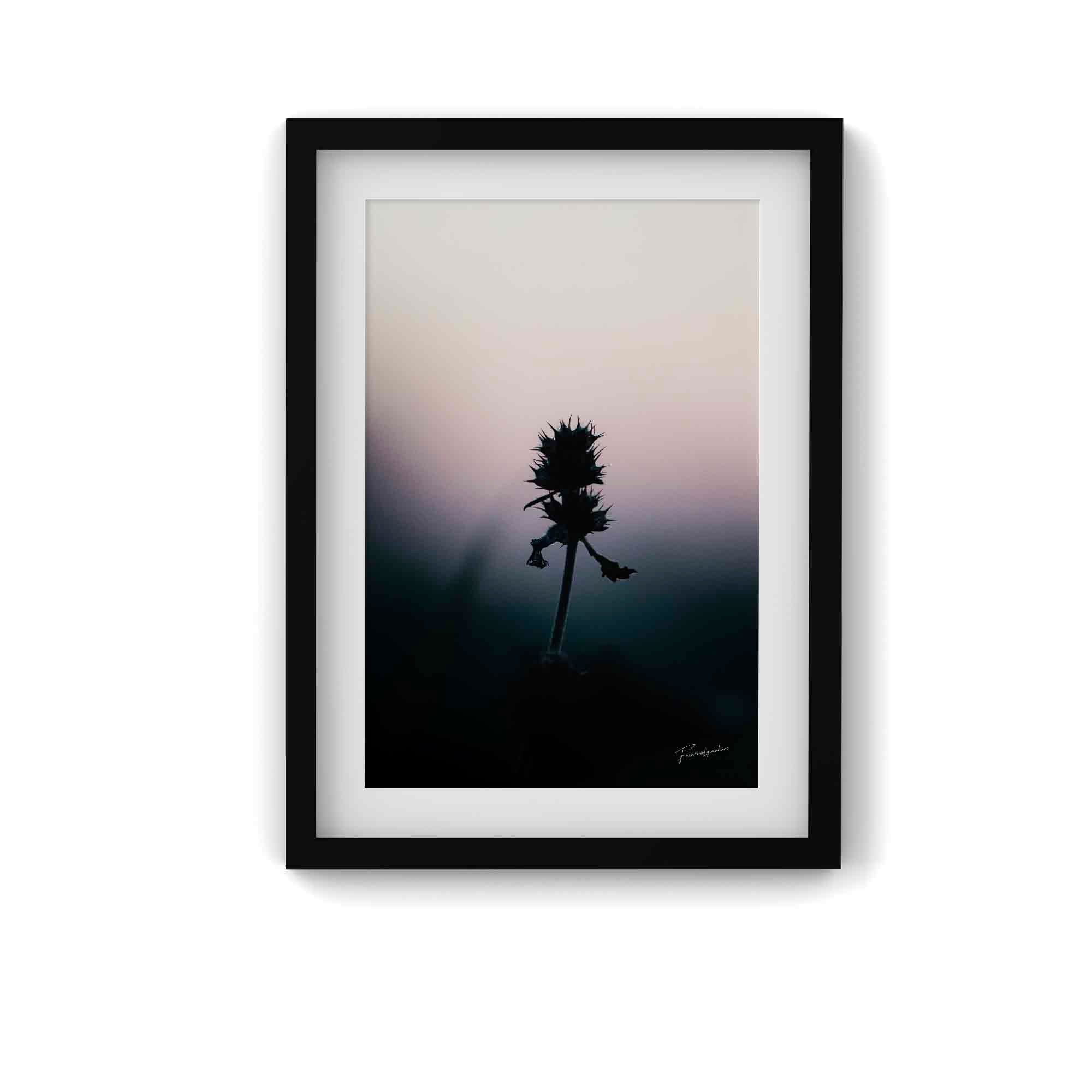 L'Armure de Lumière