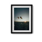 La Douceur du Rivage