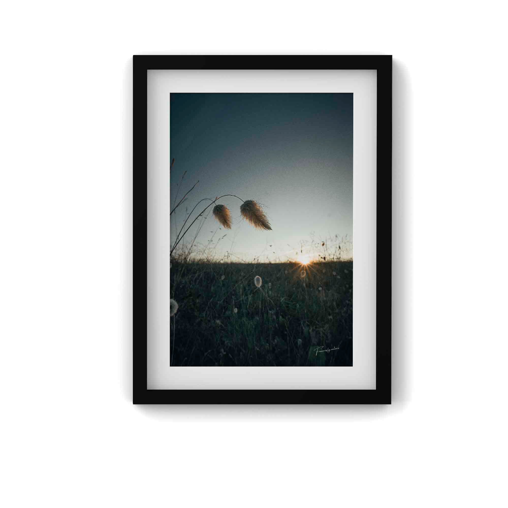 La Douceur du Rivage