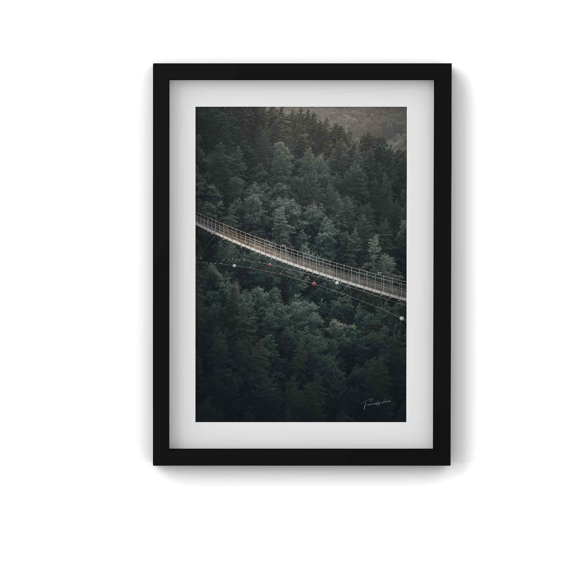 Équilibre en Terre Sauvage