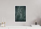 30 x 45 cm, Tirage FineArt avec marge blanche Mauvaise Herbe ?