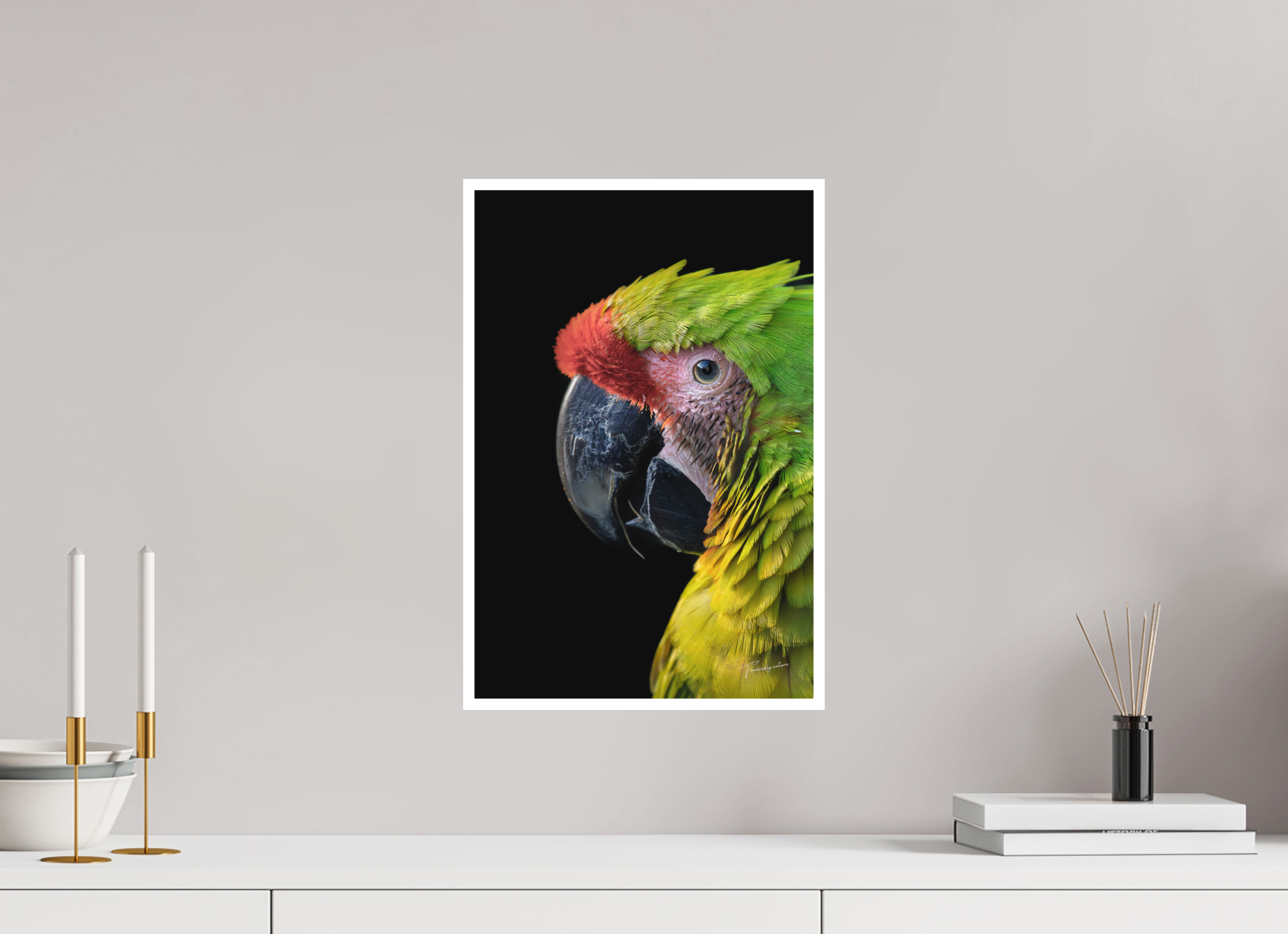 30 x 45 cm, Tirage seul Bright White 1cm L'Ara de Buffon