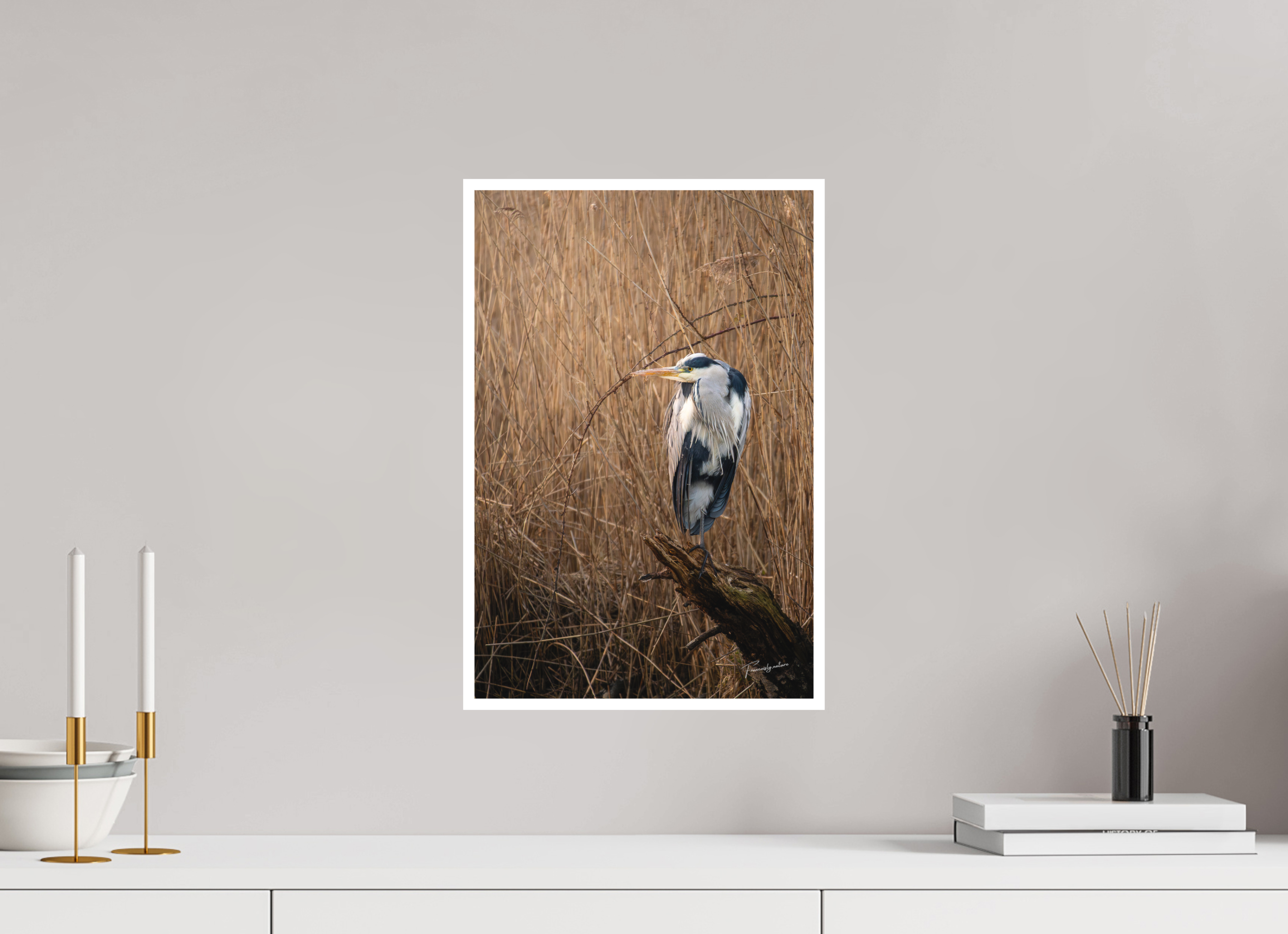 30 x 45 cm, Tirage seul Bright White 1cm Le Héron Cendré